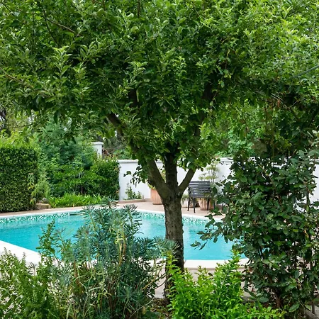Secluded Irma With Pool On The Edge Of Forest In Liznjan, Istria, Croatia Hotel